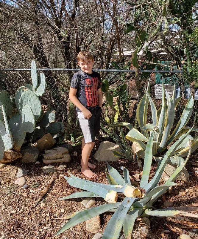 My Agave looks a little weird today????? & Happy Thanksgiving!