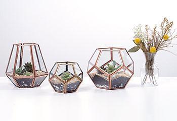 VIDEO: How to Make a Succulent Terrarium