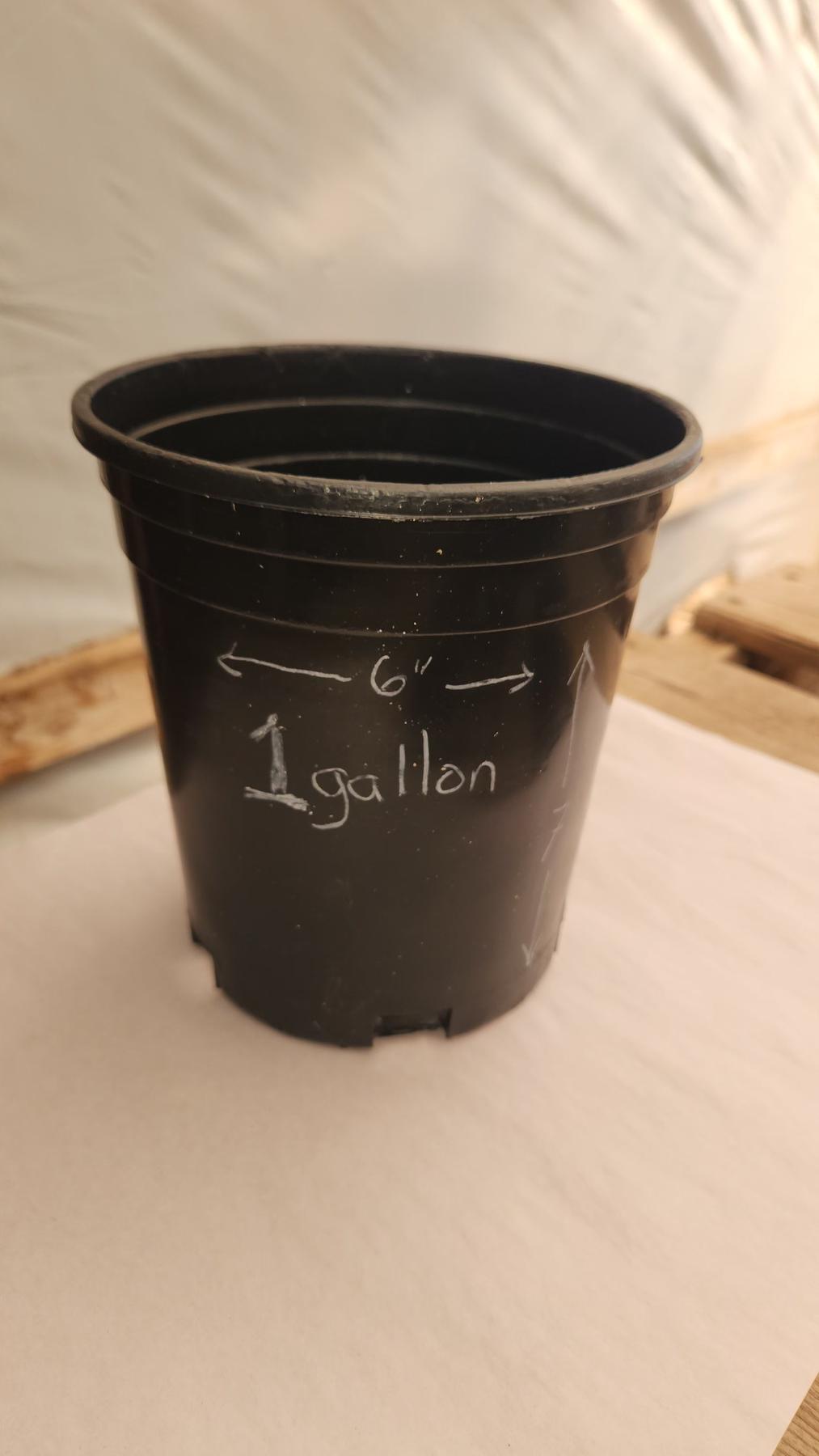 1 Gallon Plastic Pot-Accessory-The Succulent Source