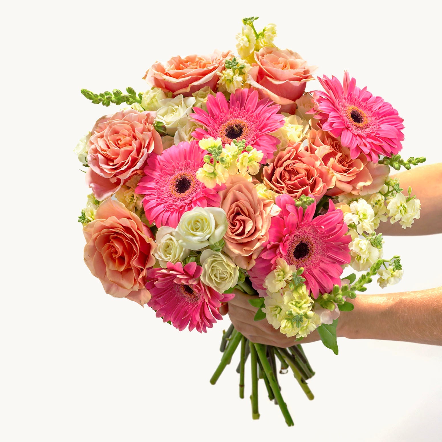 Among the Wildflowers-The Succulent Source