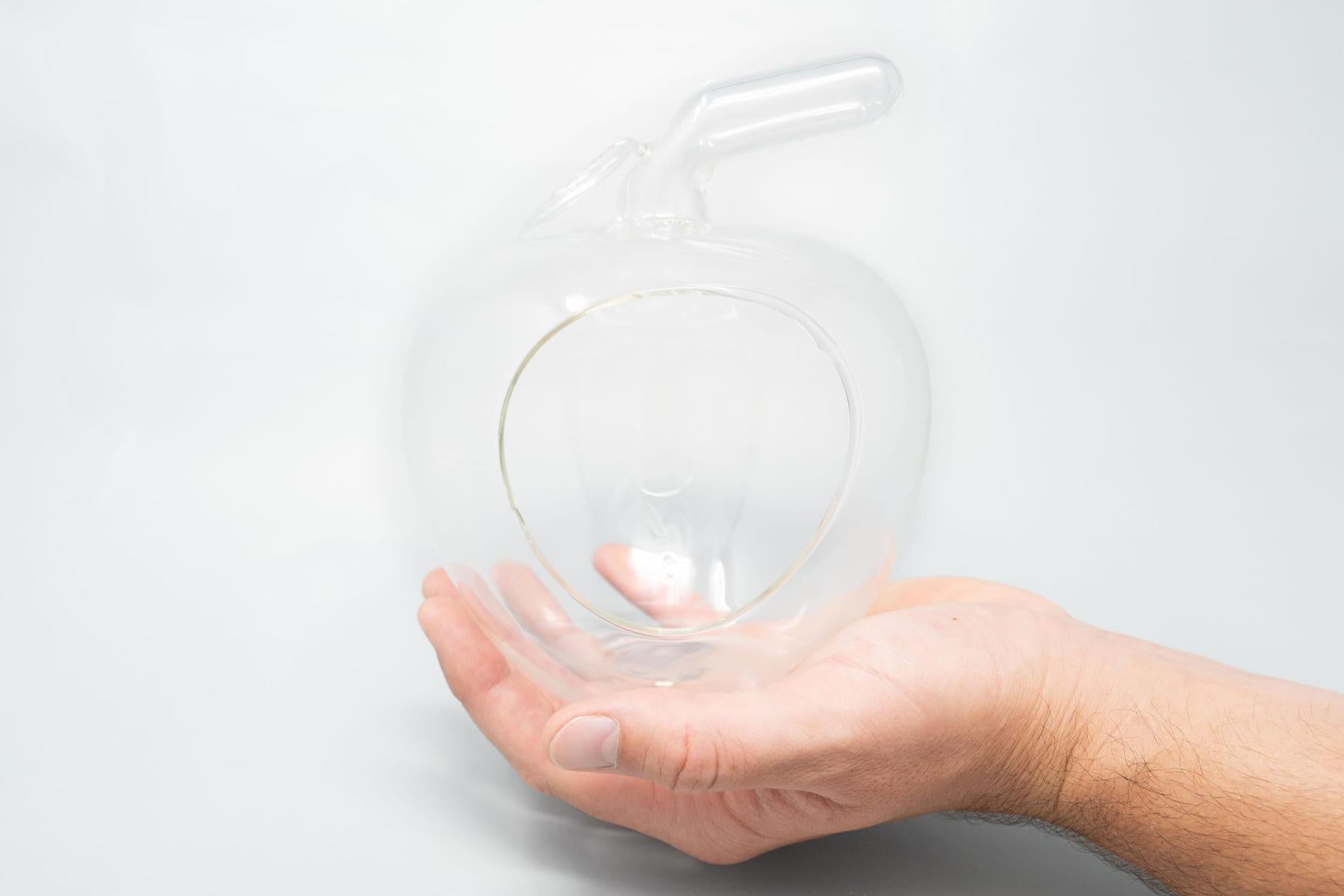 Apple Terrarium with Pebble Kit and Tillandsia Air Plants-gift-The Succulent Source