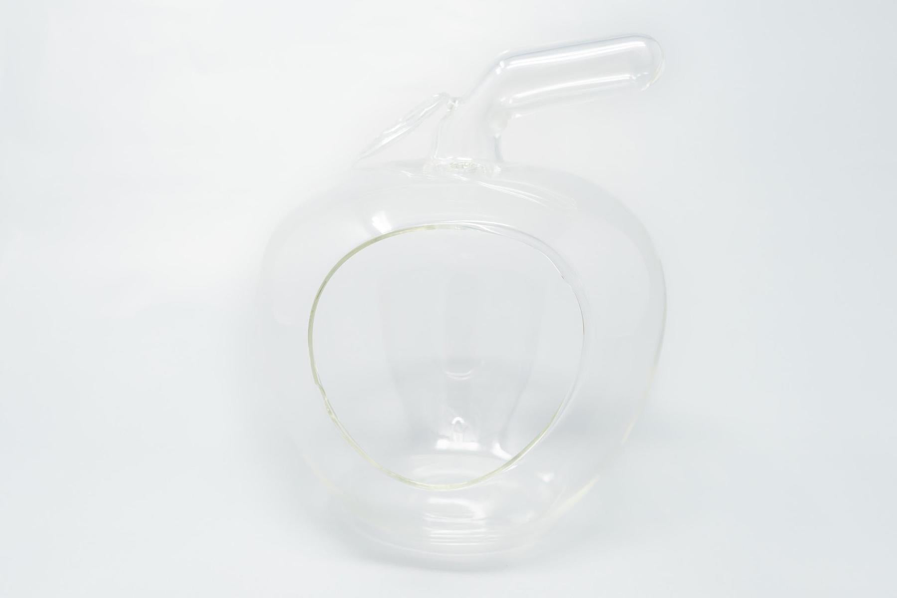 Apple Terrarium with Pebble Kit and Tillandsia Air Plants-gift-The Succulent Source