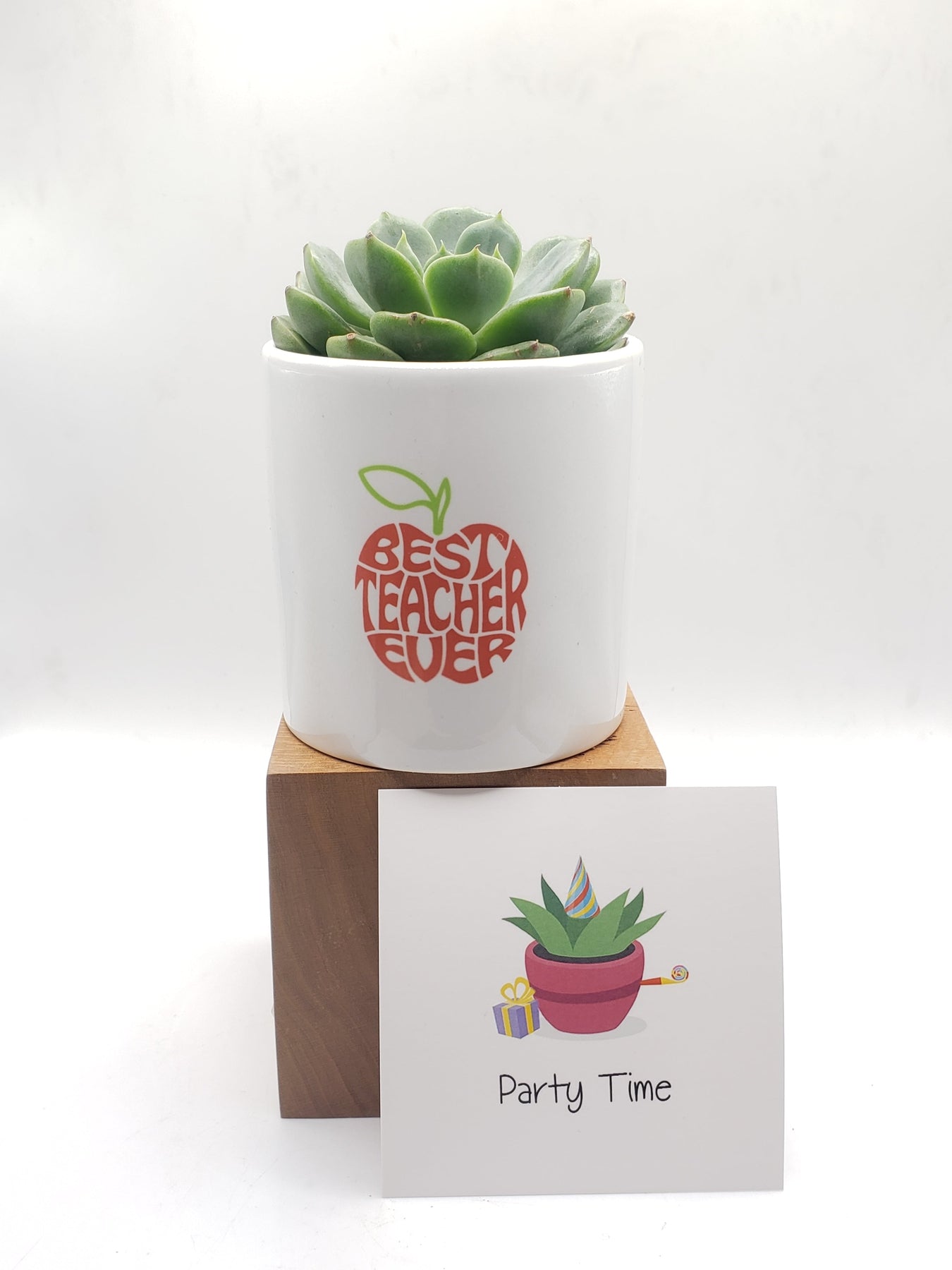 Best Teacher Ever Succulent Gift-SayIt-The Succulent Source