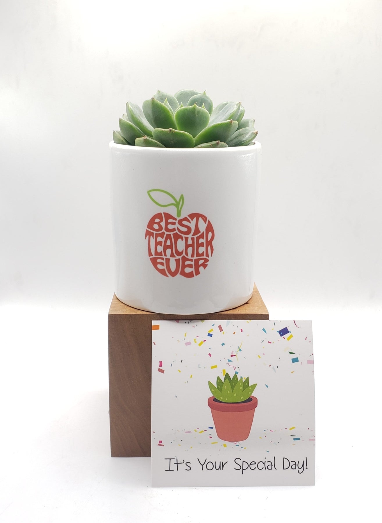 Best Teacher Ever Succulent Gift-SayIt-The Succulent Source