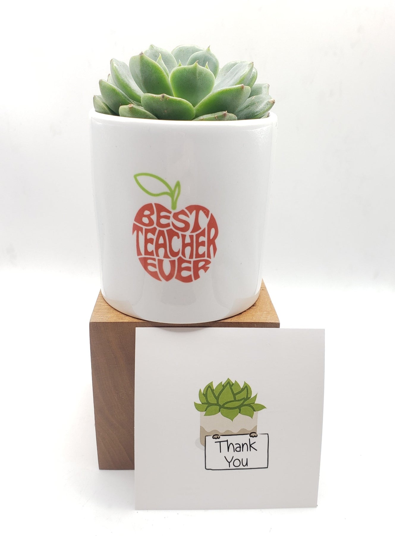 Best Teacher Ever Succulent Gift-SayIt-The Succulent Source