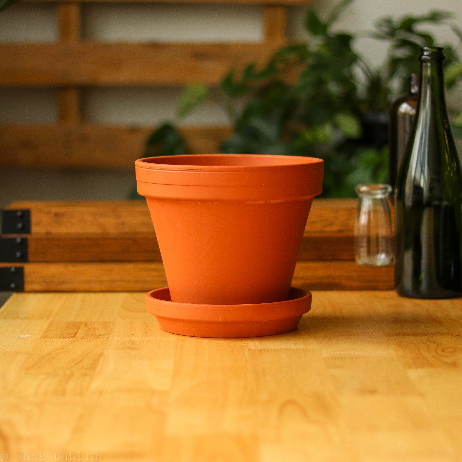 Clay Terracotta Planter Pot with Saucer Set-Planter-The Succulent Source