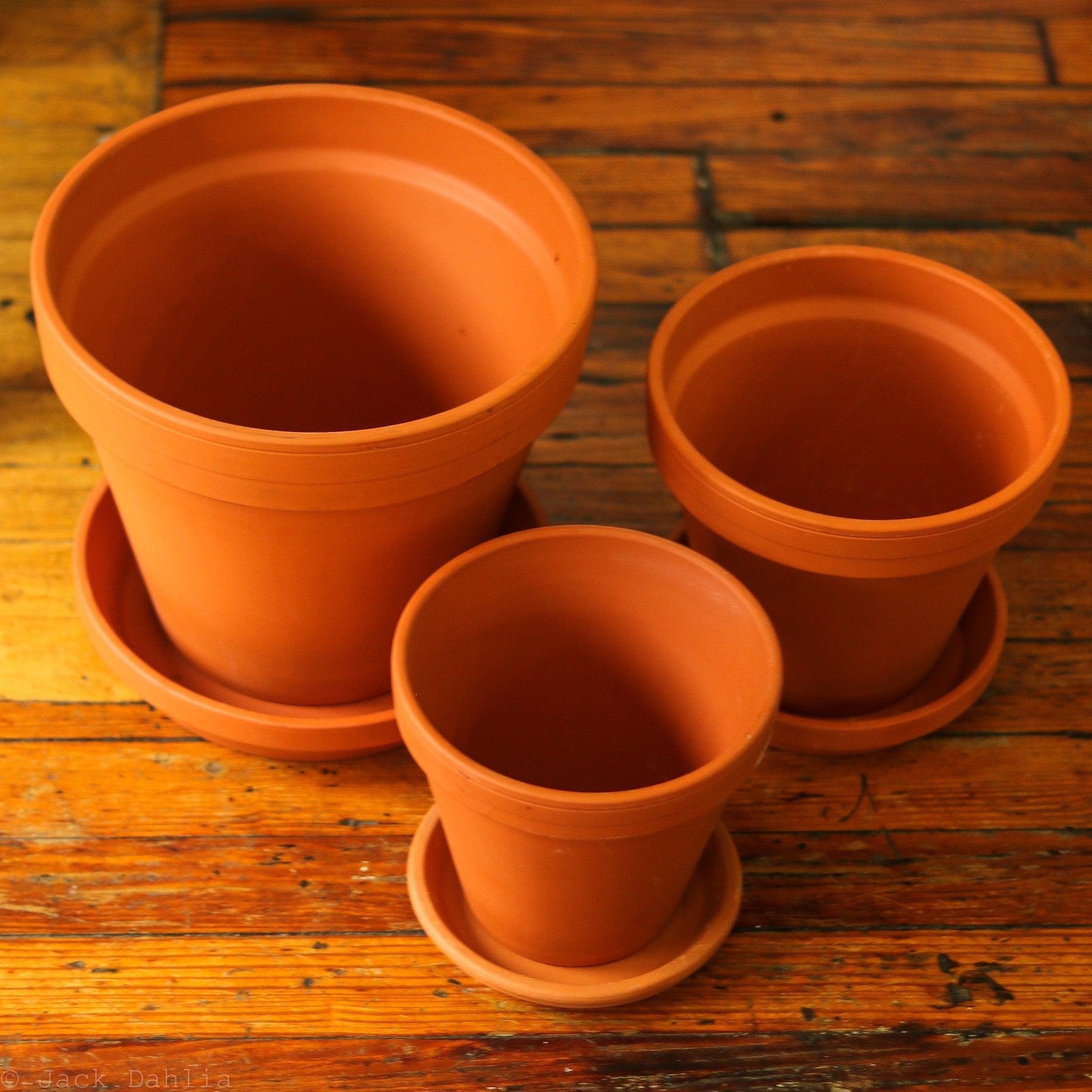 Clay Terracotta Planter Pot with Saucer Set-Planter-The Succulent Source