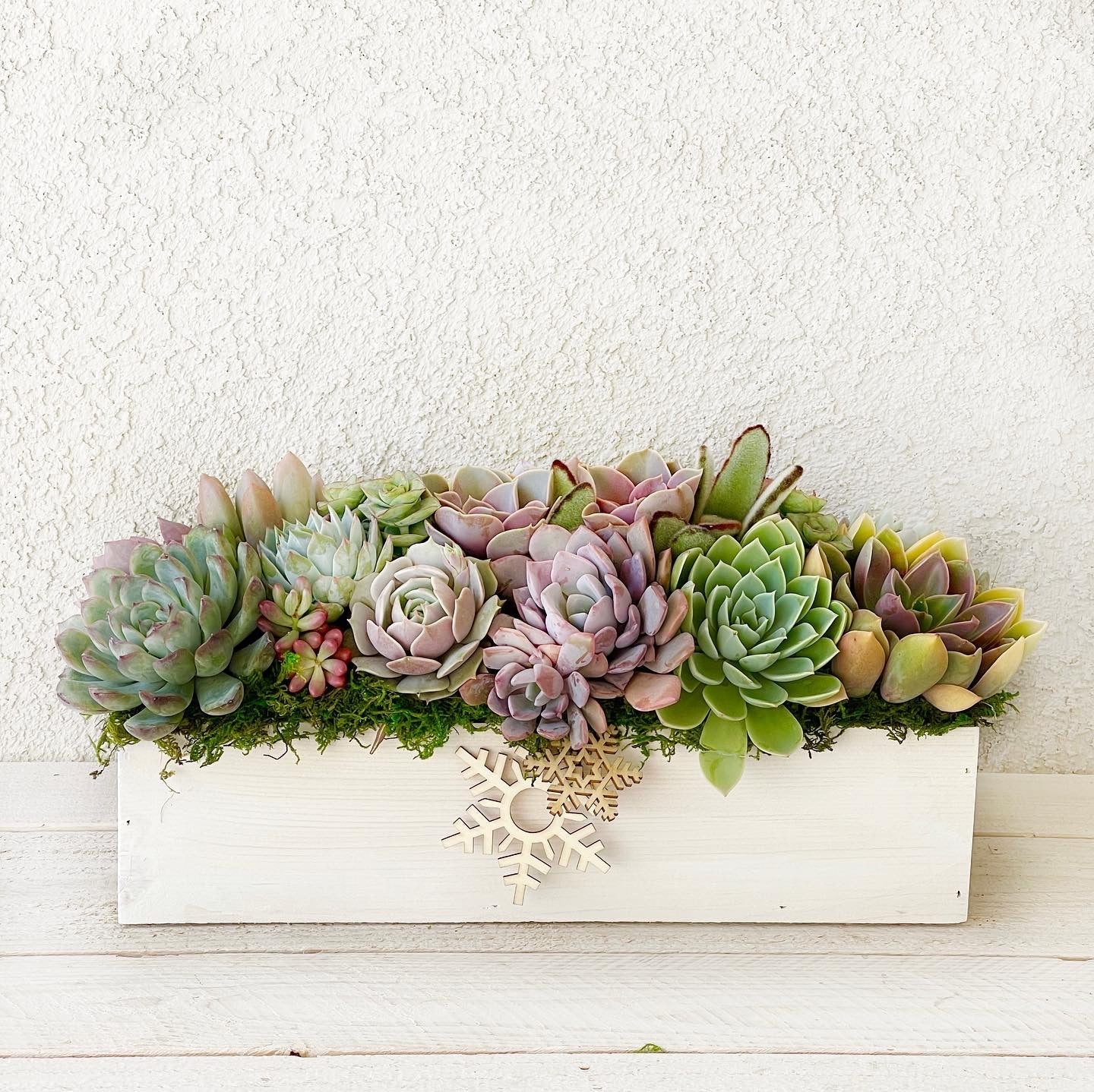 wood succulent centerpiece Clementine Succulent Planter