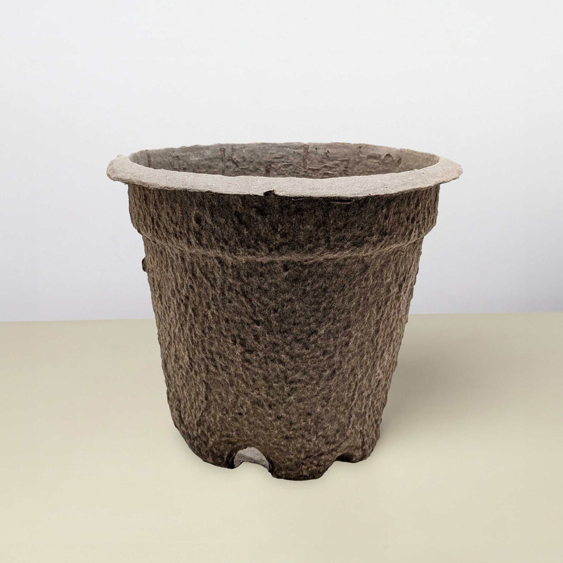 Cow Pot-The Succulent Source