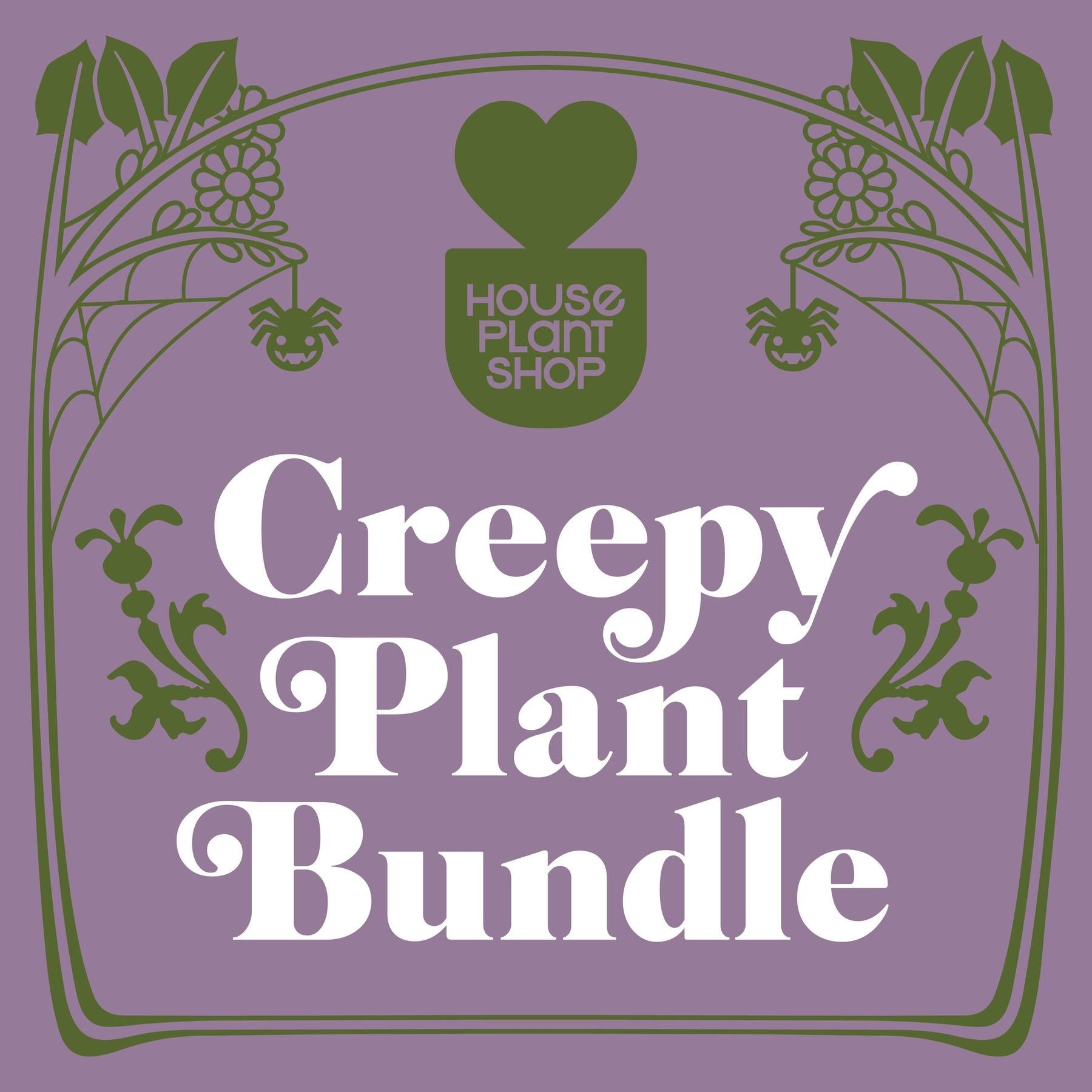 Creepy Plant Bundle-4" Plant (2)-The Succulent Source