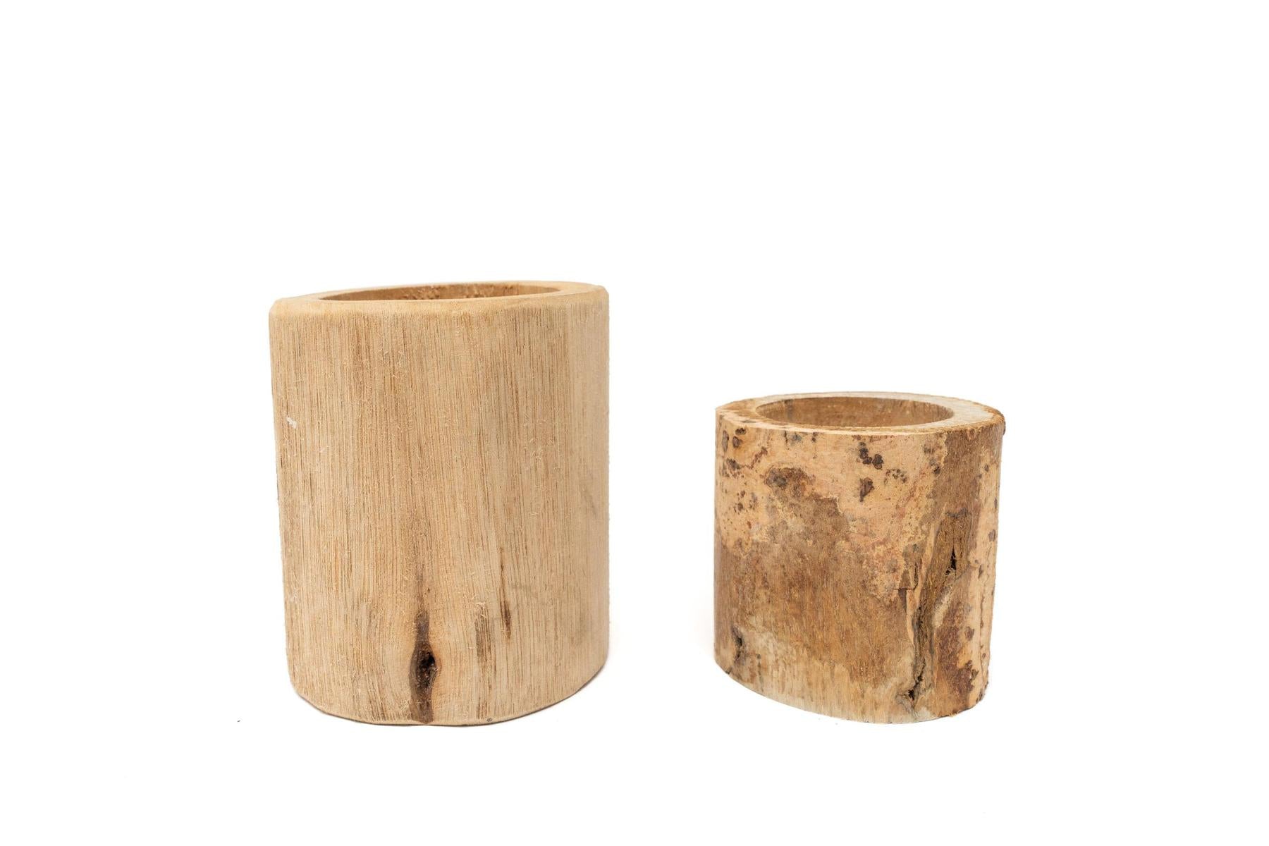 Driftwood Tillandsia Air Plant or Succulent Container-The Succulent Source