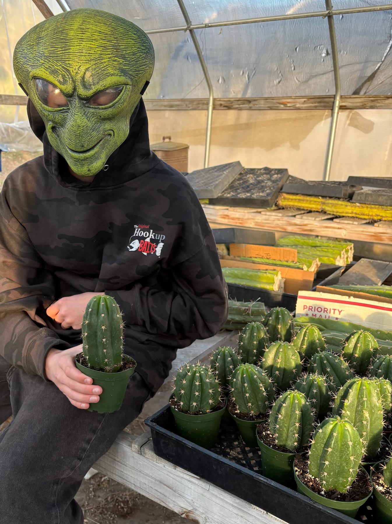 #EC04 EXACT Trichocereus Pachanoi Jiimz Long Spine Cactus Potted Options-Cactus - Large - Exact-The Succulent Source