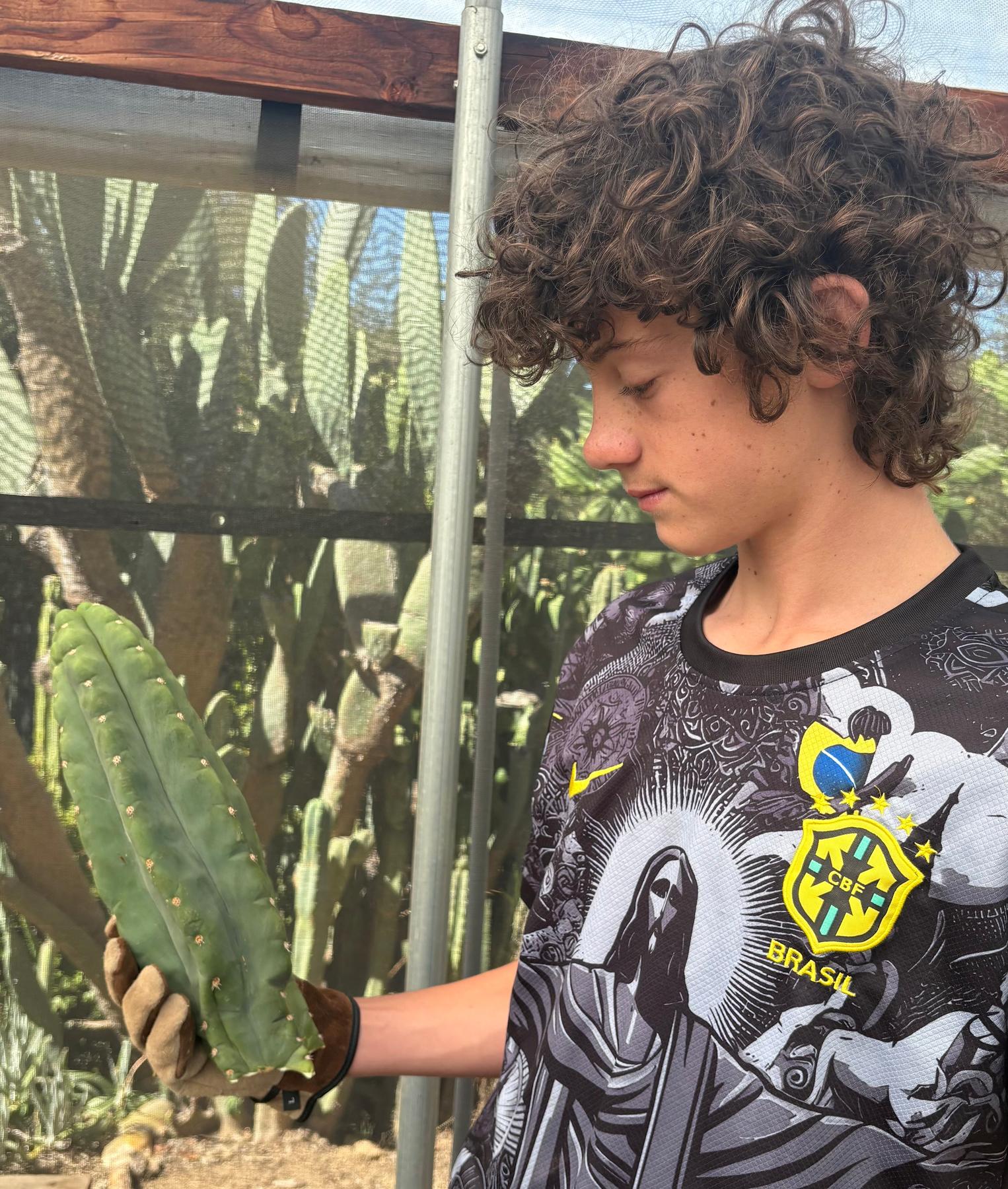 #EC286 Beau’s Exact Trichocereus Cactus Cuttings Page-Cactus - Large - Exact-The Succulent Source