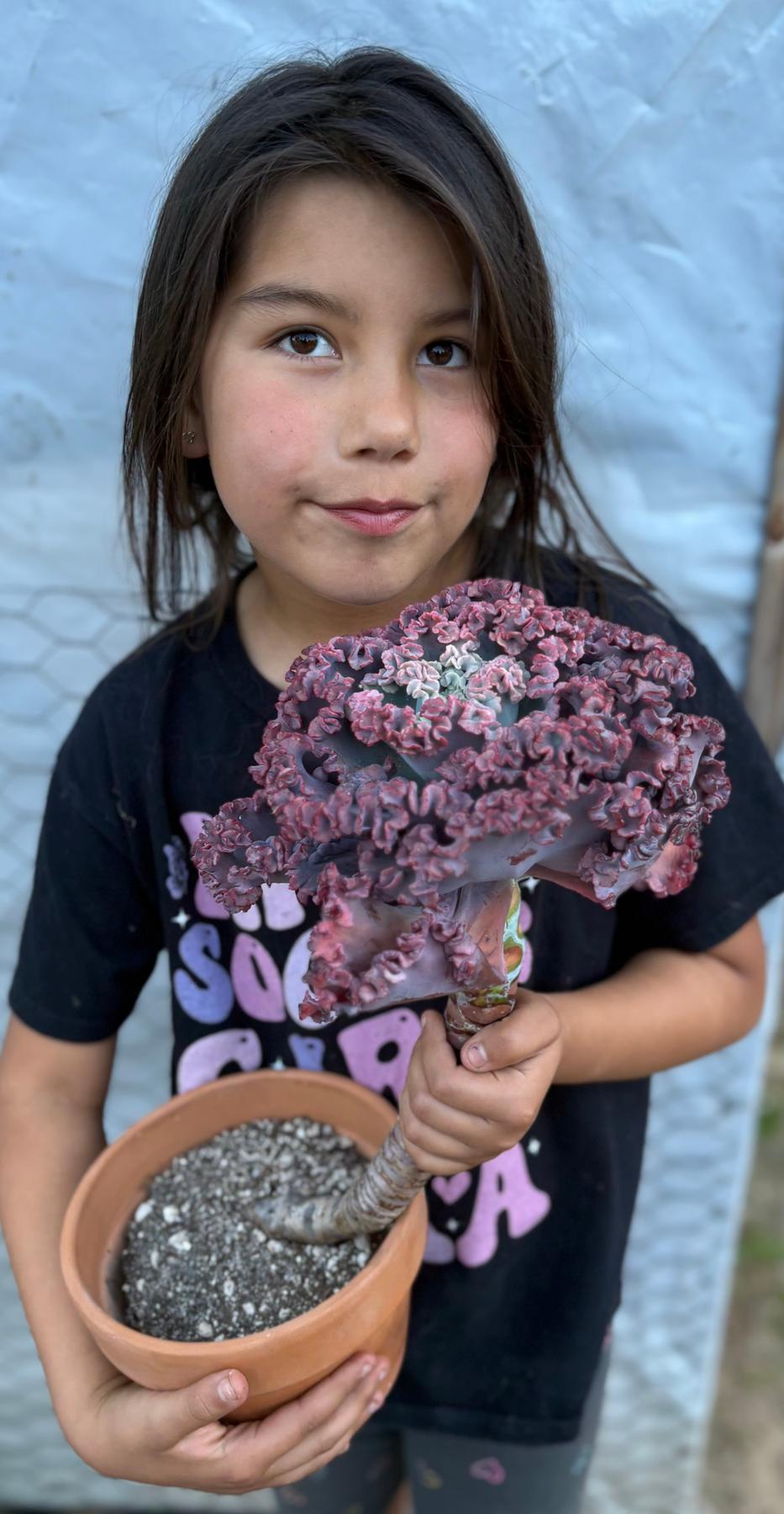 #ES16 Leah’s EXACT Page of Cactus and Succulents-Succulent - Large - Exact-The Succulent Source