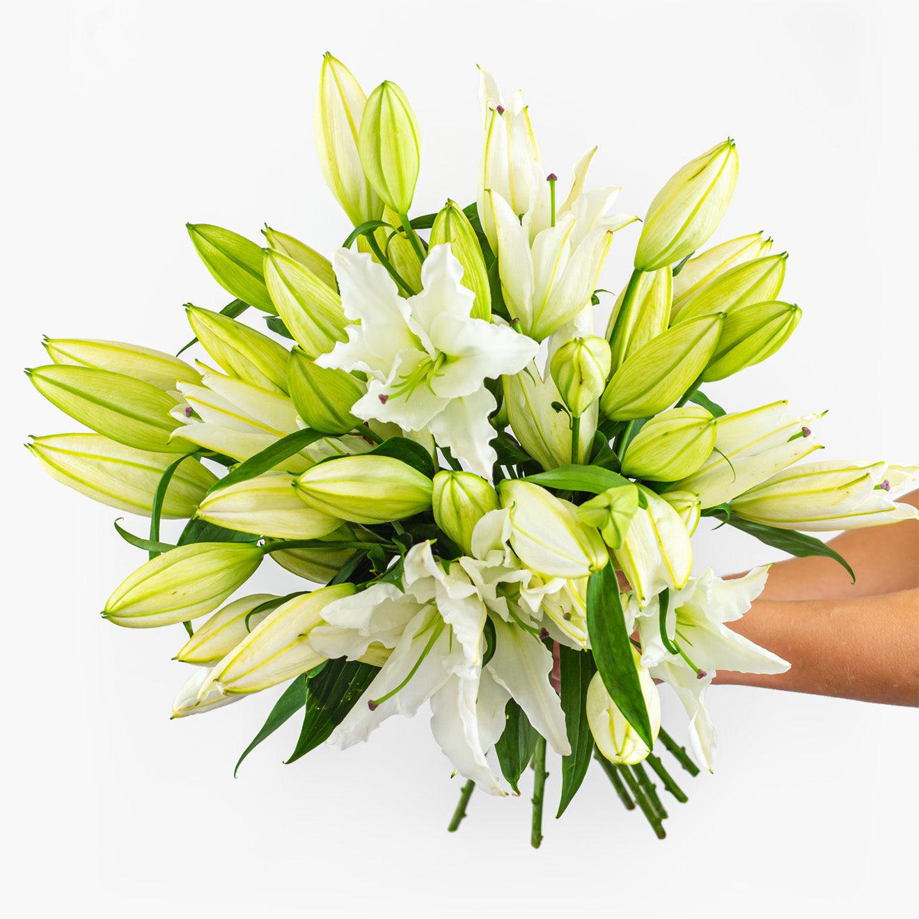Elegant White Lilies-The Succulent Source