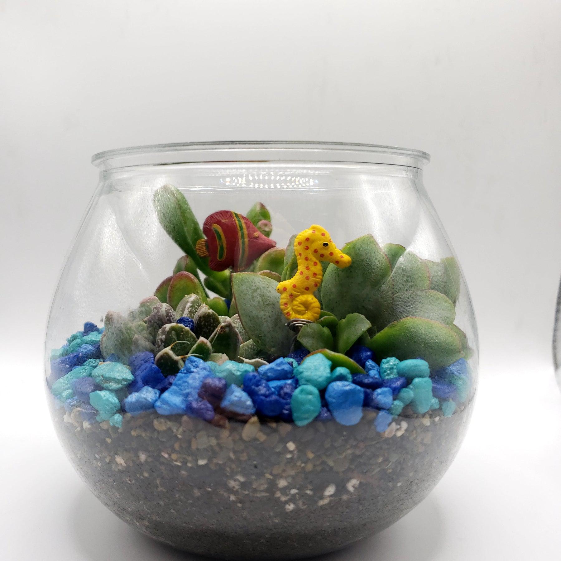 Fish Bowl Planter-Succulent - Arrangement-The Succulent Source