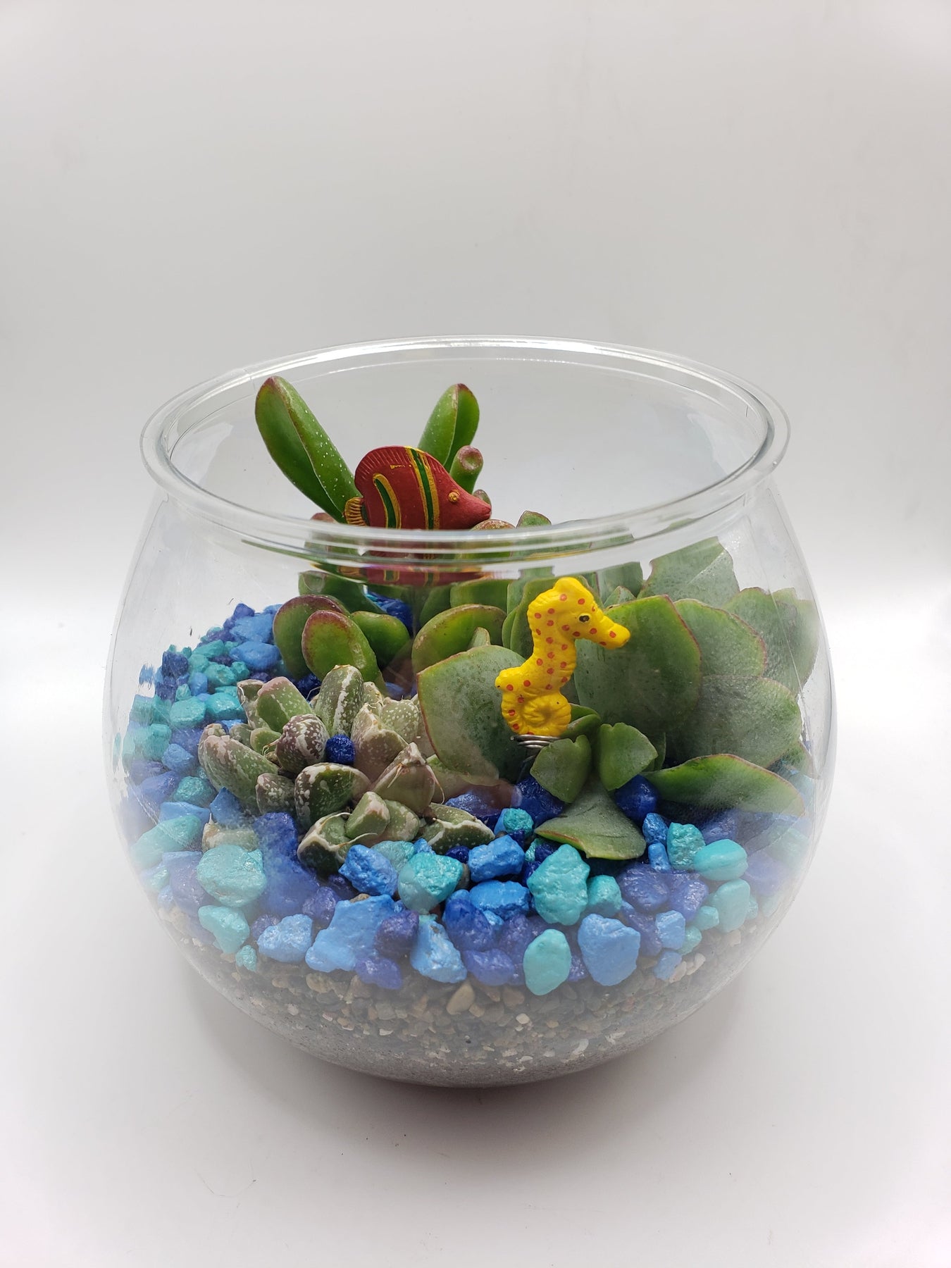 Fish Bowl Planter-Succulent - Arrangement-The Succulent Source
