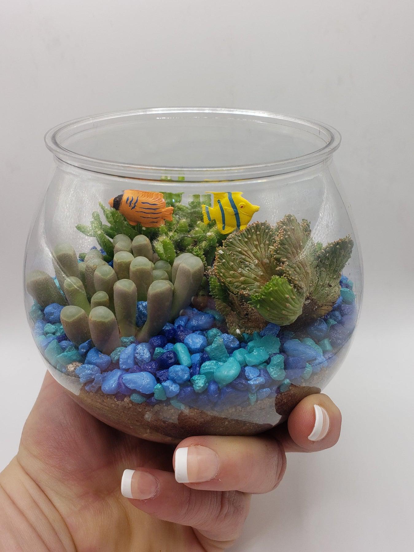 Fish Bowl Planter-Succulent - Arrangement-The Succulent Source