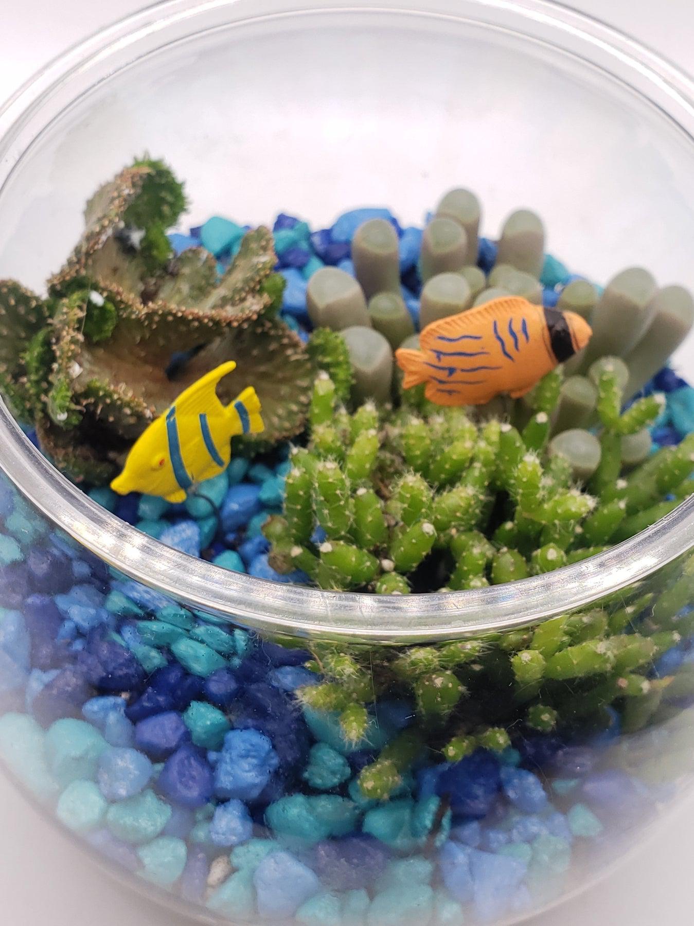 Fish Bowl Planter-Succulent - Arrangement-The Succulent Source