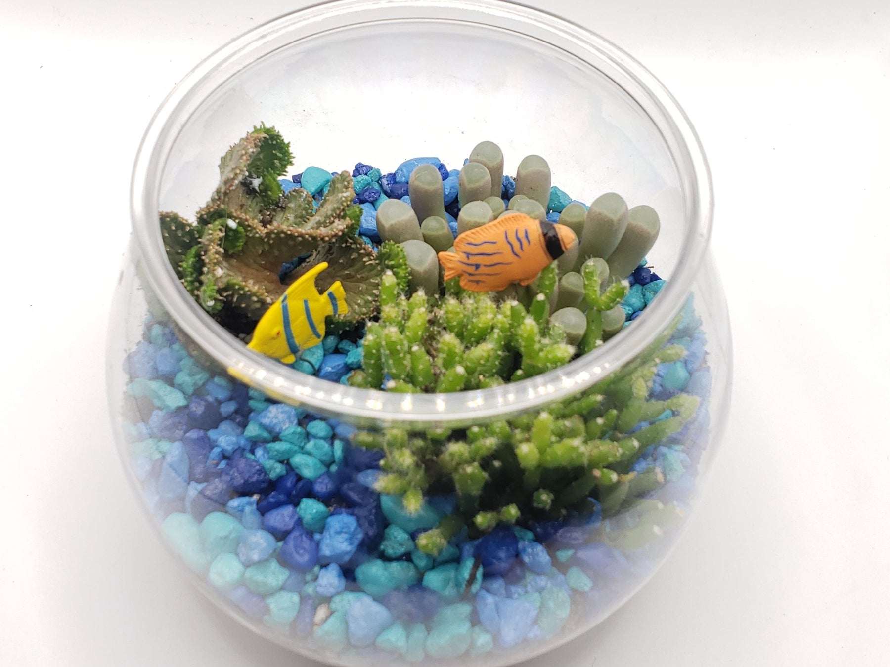 Fish Bowl Planter-Succulent - Arrangement-The Succulent Source