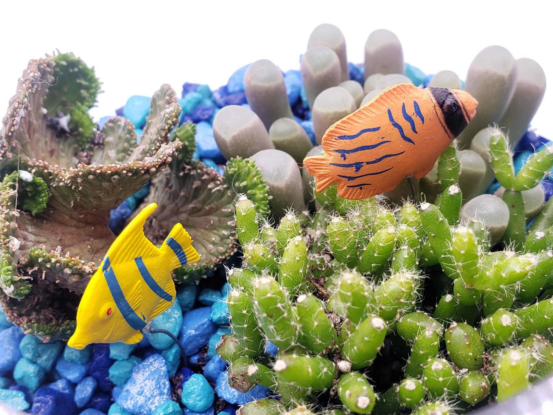 Fish Bowl Planter-Succulent - Arrangement-The Succulent Source