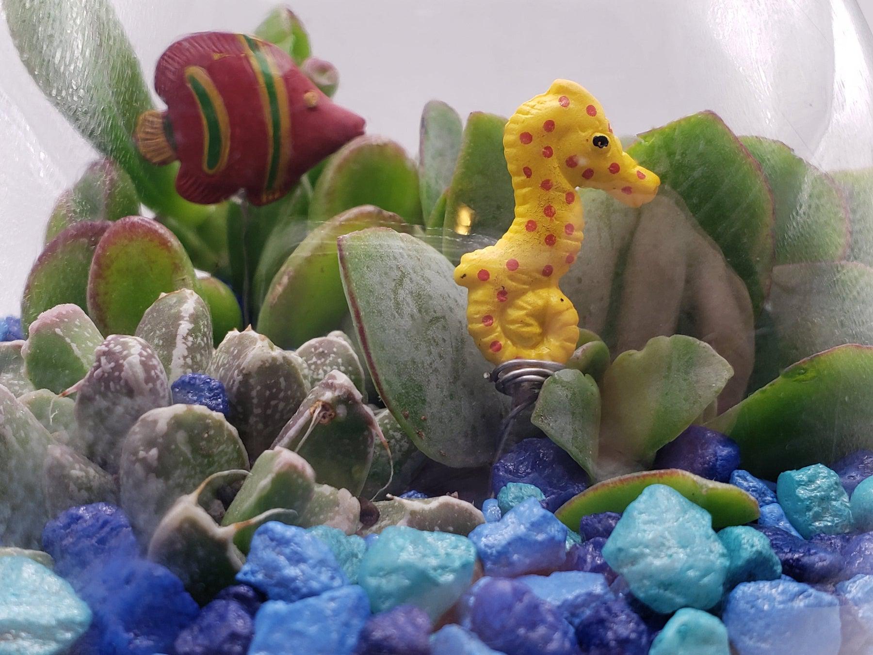 Fish Bowl Planter-Succulent - Arrangement-The Succulent Source