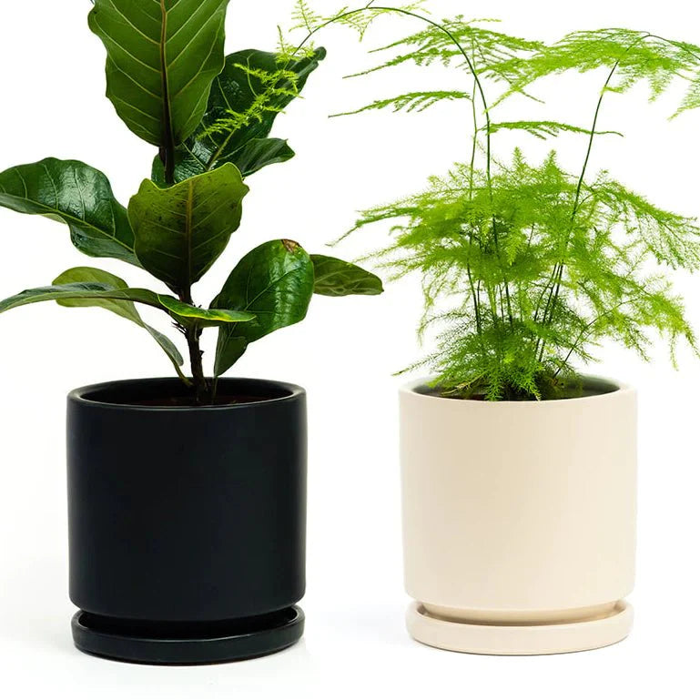 Gemstone Planter Pot 10.5 Inch-Pots & Planters-The Succulent Source