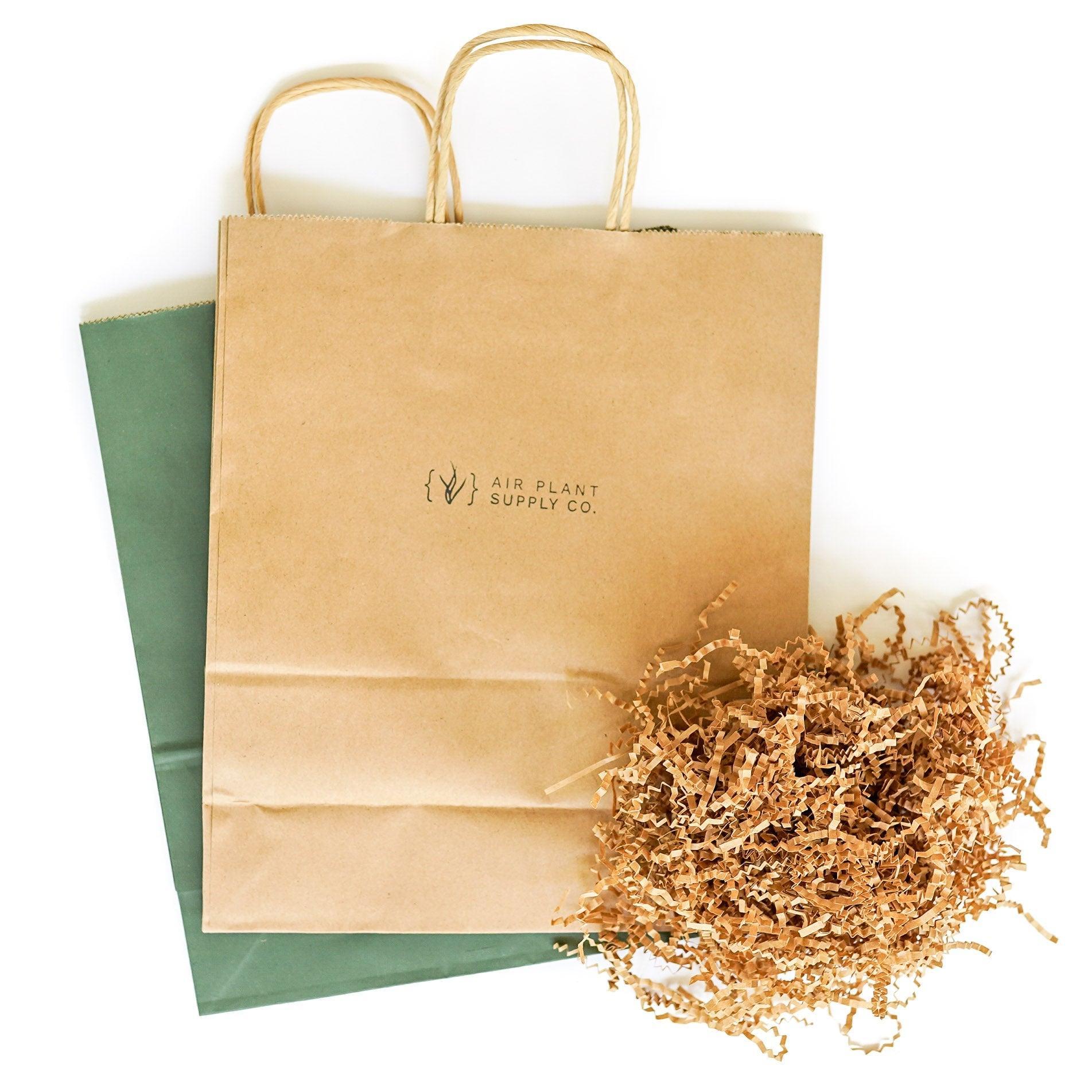 Gift Wrapped Set of 2 Large Driftwood Containers with Assorted Tillandsia Air Plants-Plants-The Succulent Source