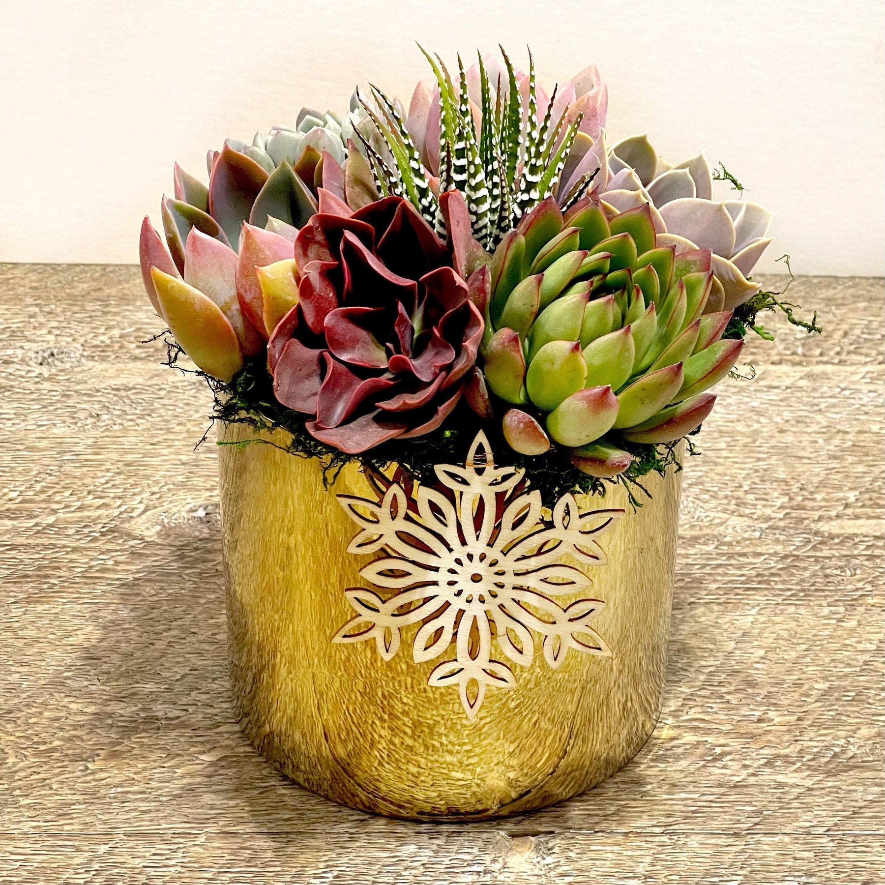 succulents in a vase Succulent Arrangement