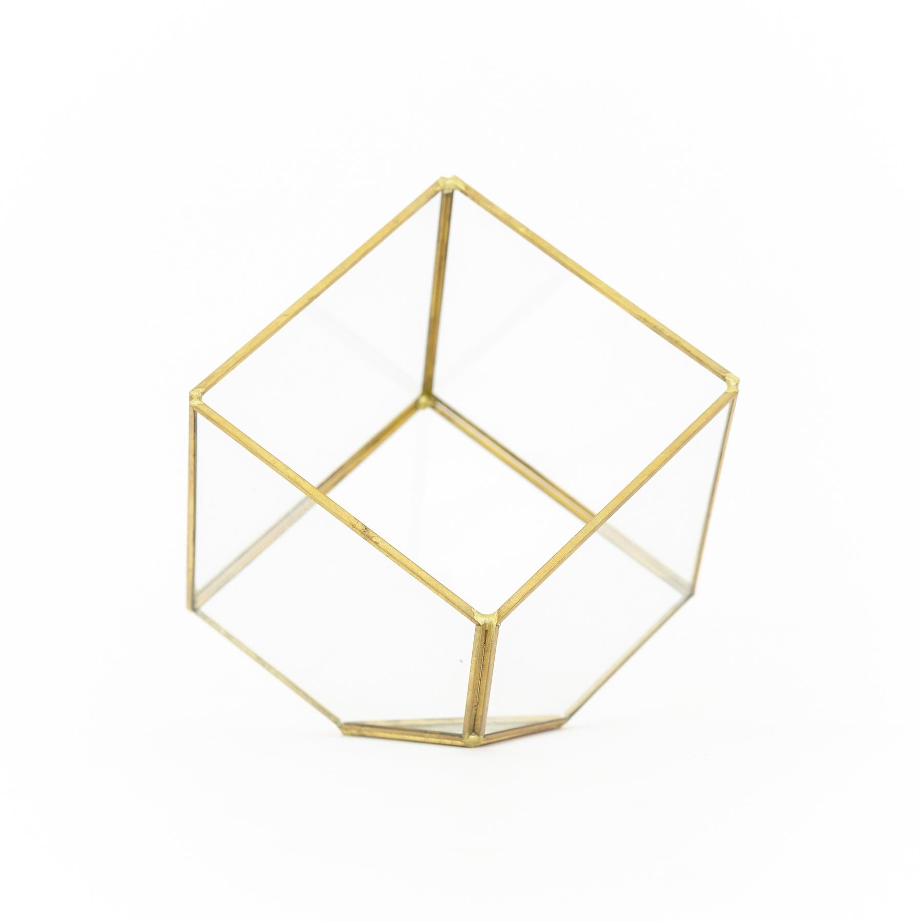 gold succulent terrarium Heptahedron Geometric Glass Terrarium - Gold Metallic Finish
