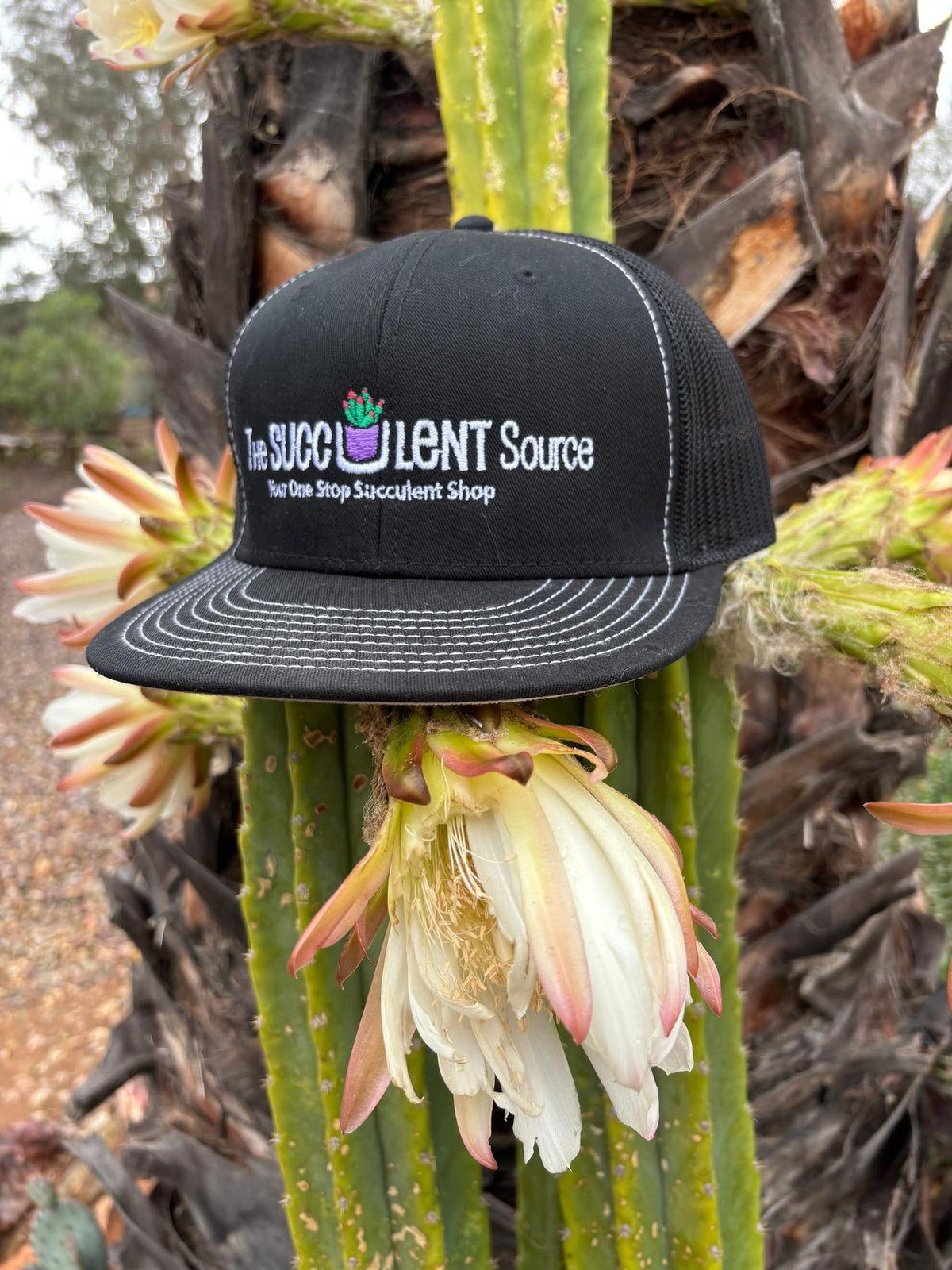 Hats - The Succulent Source