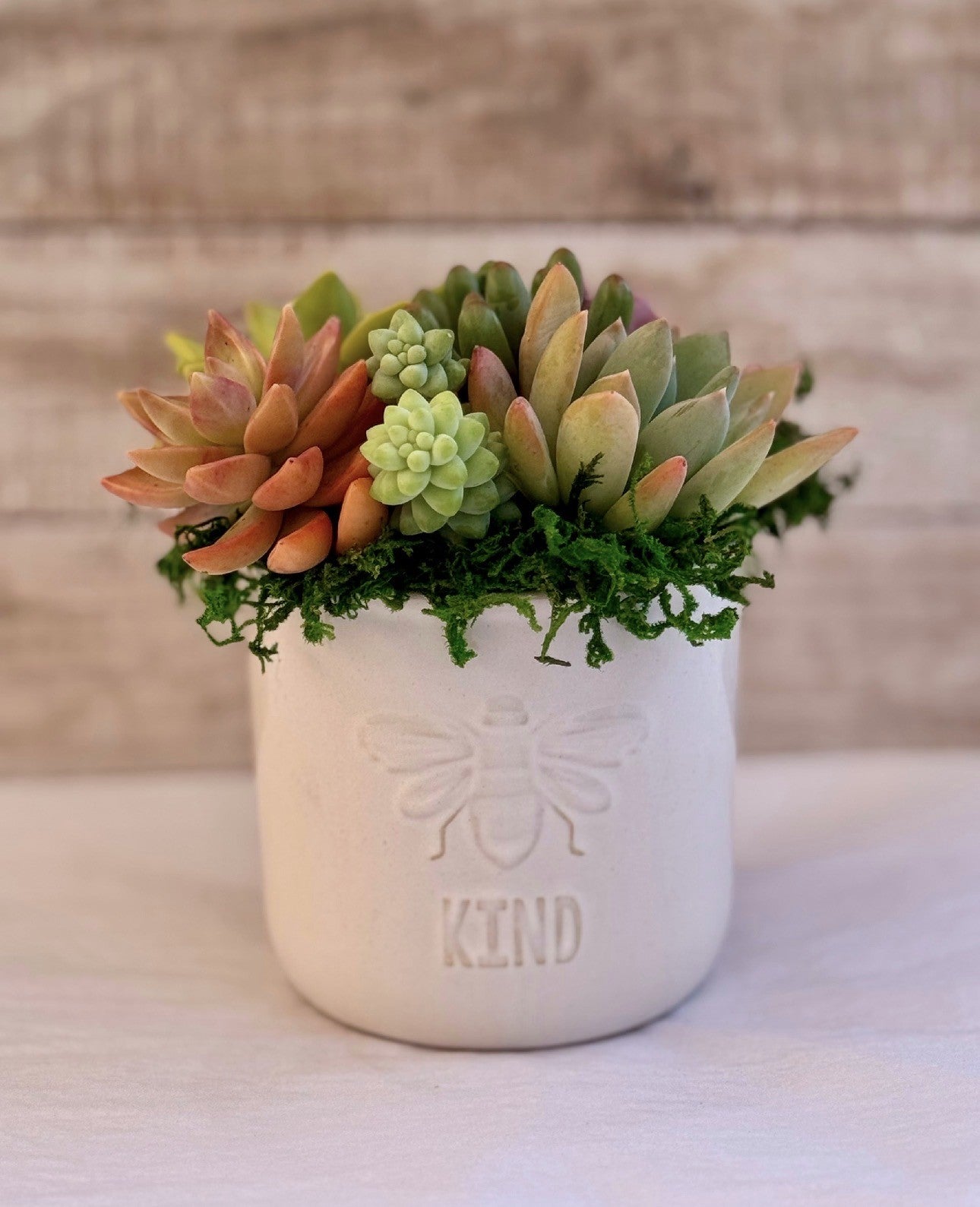 Bee Kind ceramic bee embosed planter filled with succulent plants
