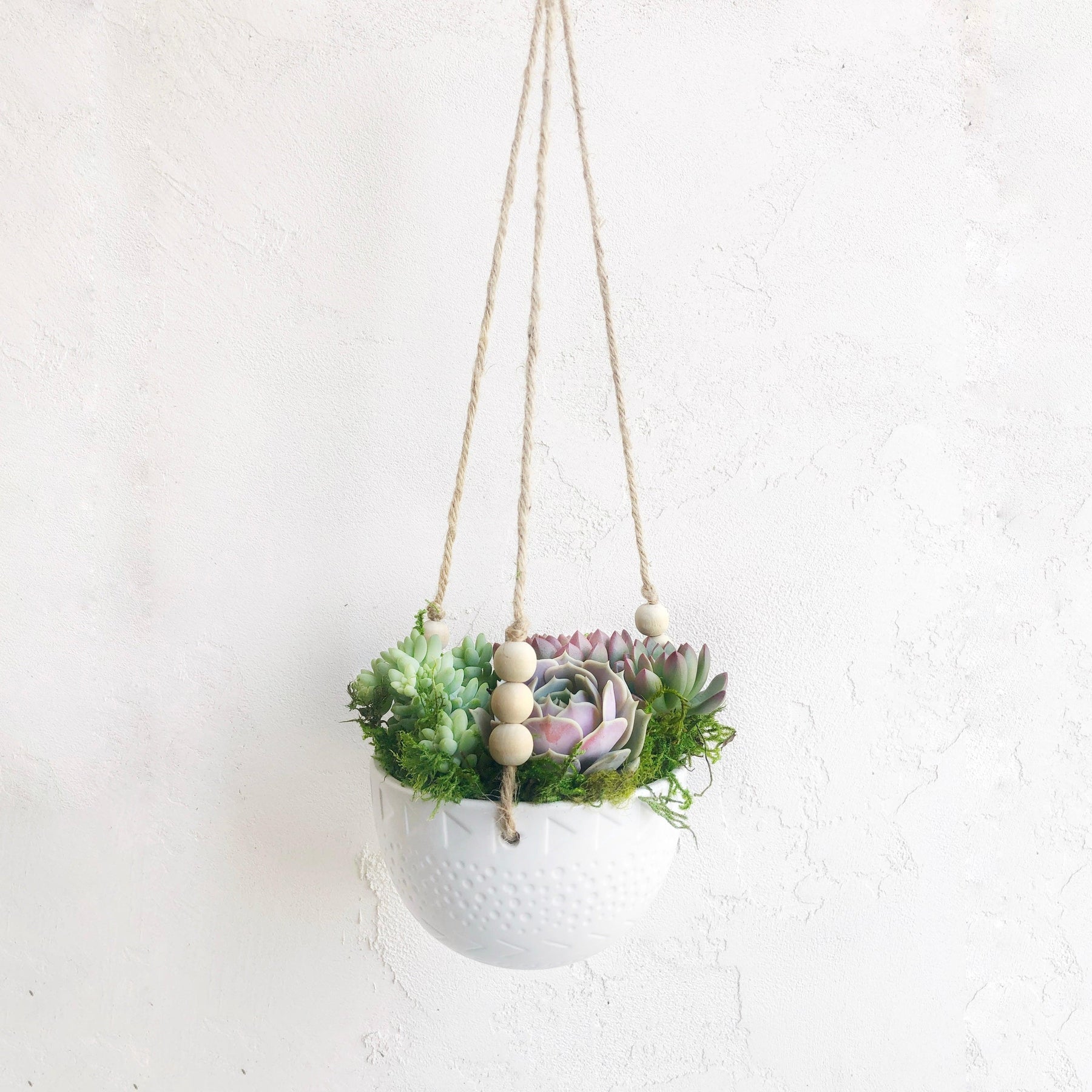 Succulent Arrangement
