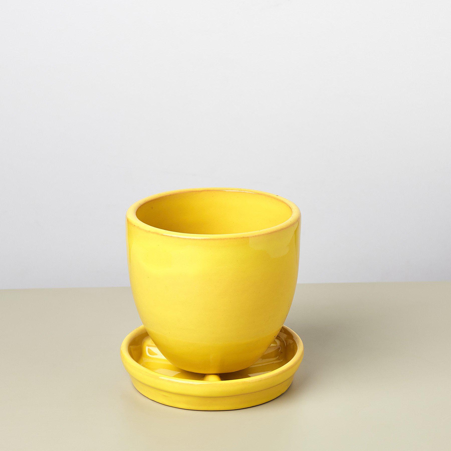 Liberty Bell Planter-Default-The Succulent Source