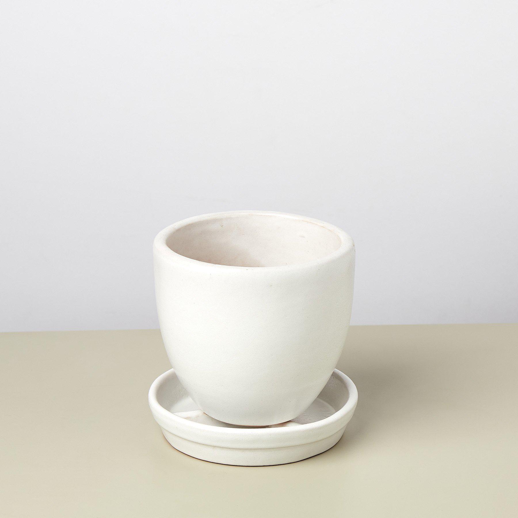 Liberty Bell Planter-Default-The Succulent Source