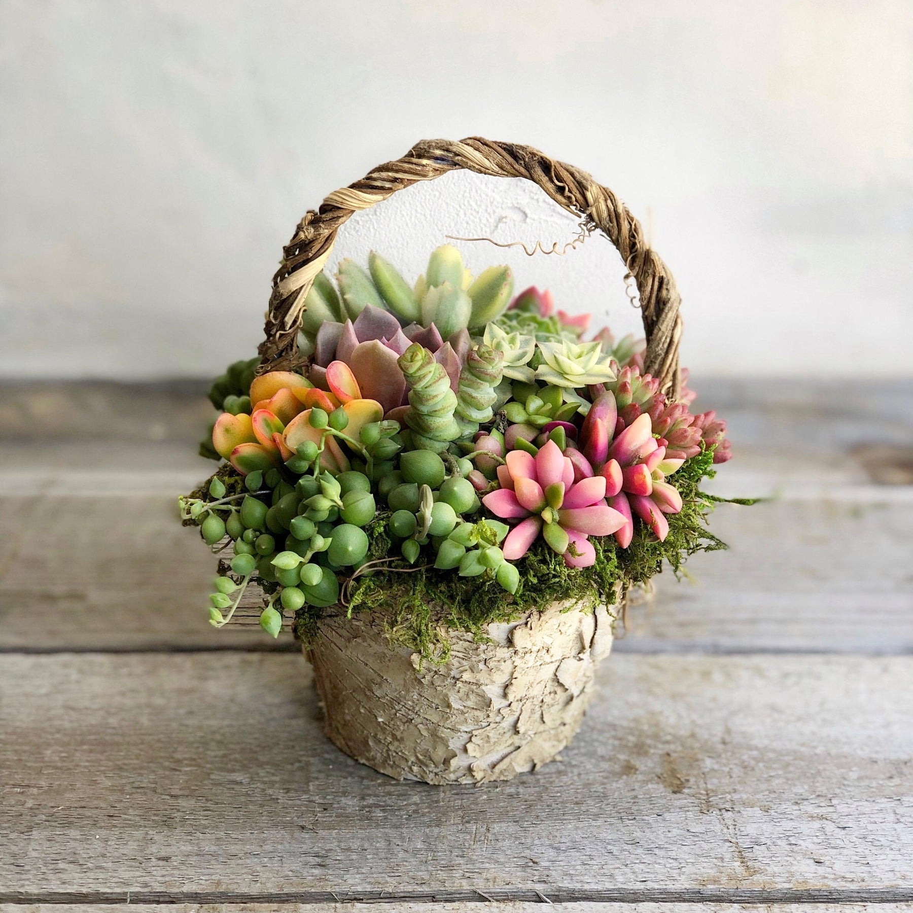 Meadow Basket of Succulents