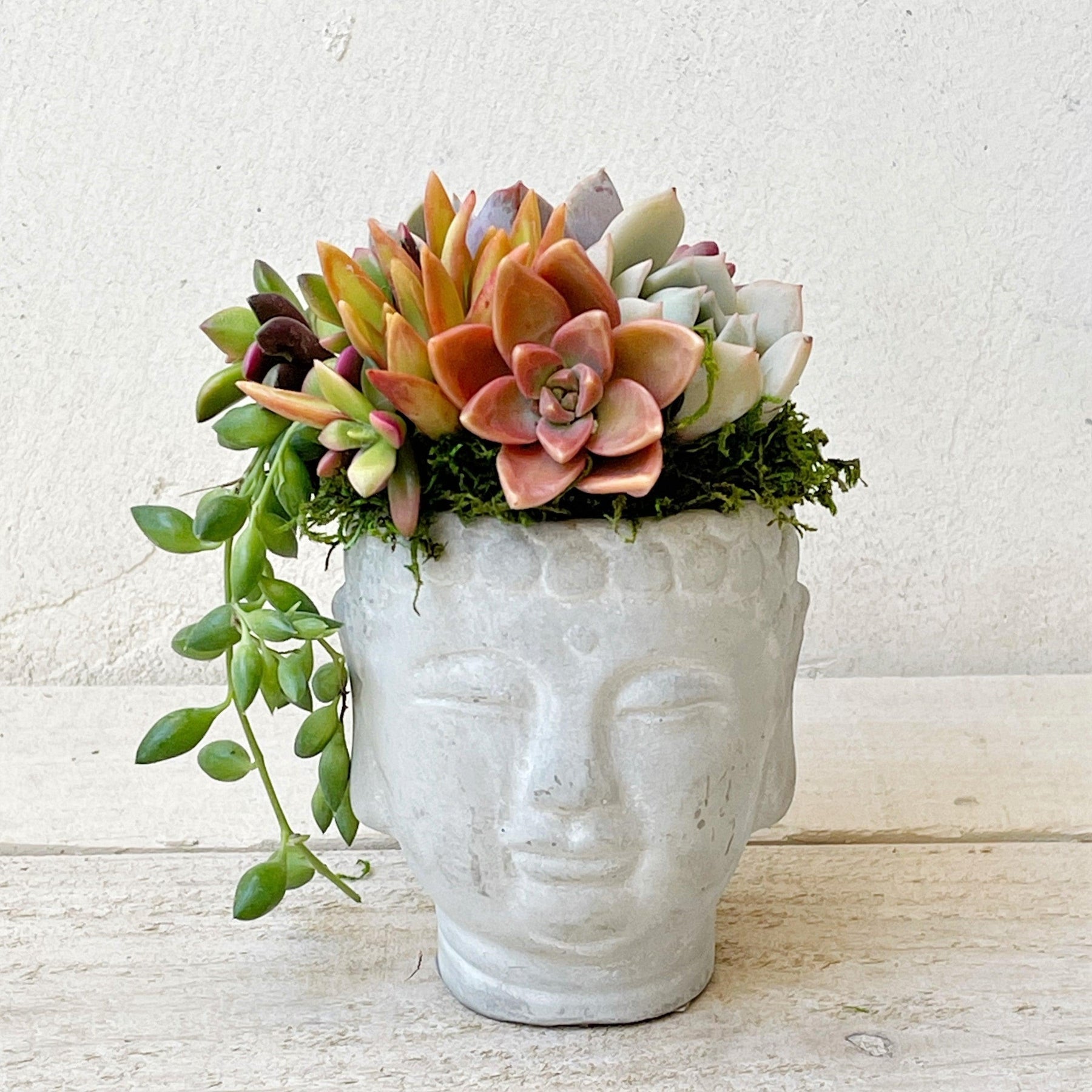 succulent zen Mini Zen Buddha Planter With Succulents