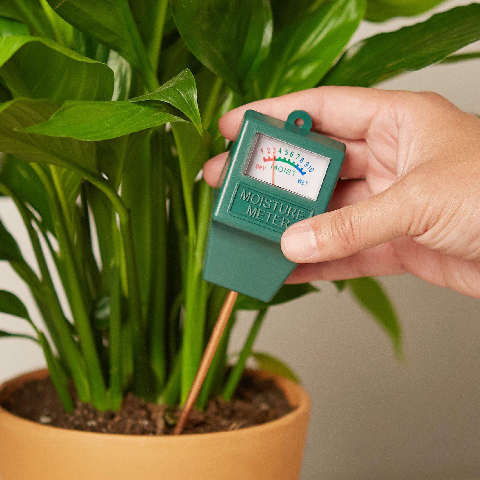 Moisture Meter-Default-The Succulent Source