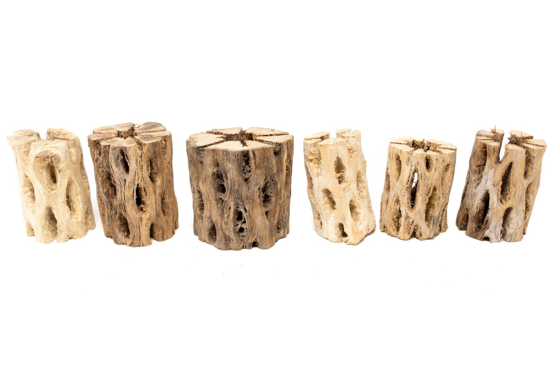Natural Cholla Wood Container - 3 Inches Tall-The Succulent Source
