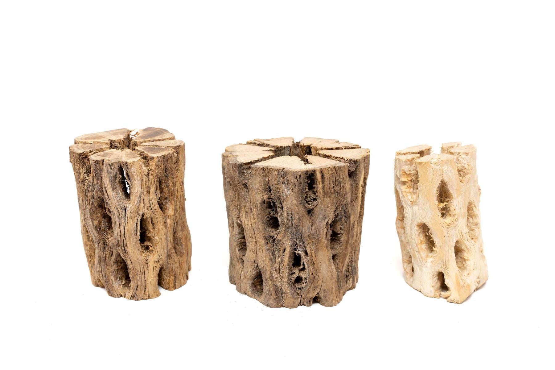 Natural Cholla Wood Container - 3 Inches Tall-The Succulent Source