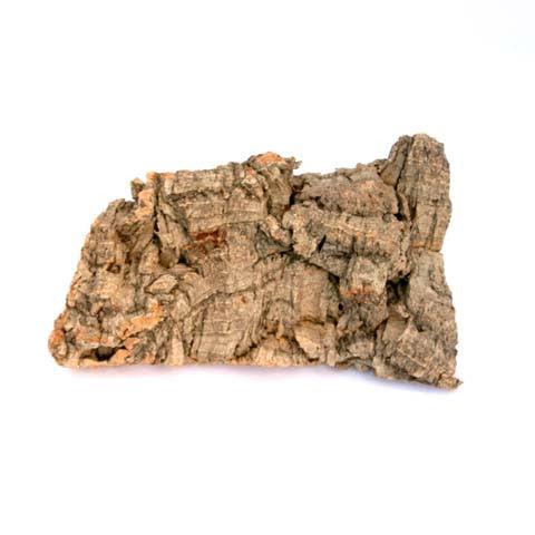 Natural Cork Bark Displays & Waterproof Glue - Create a Unique Vertical Garden Display!-gift-The Succulent Source