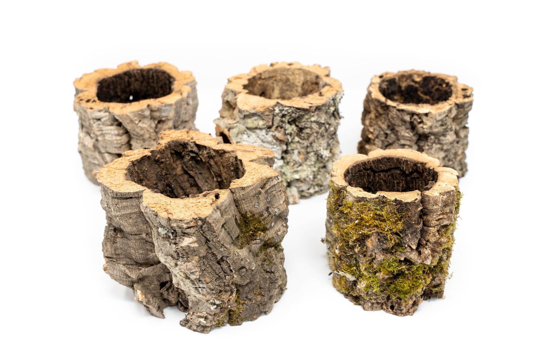 Natural Cork Bark Planters-terrarium-The Succulent Source