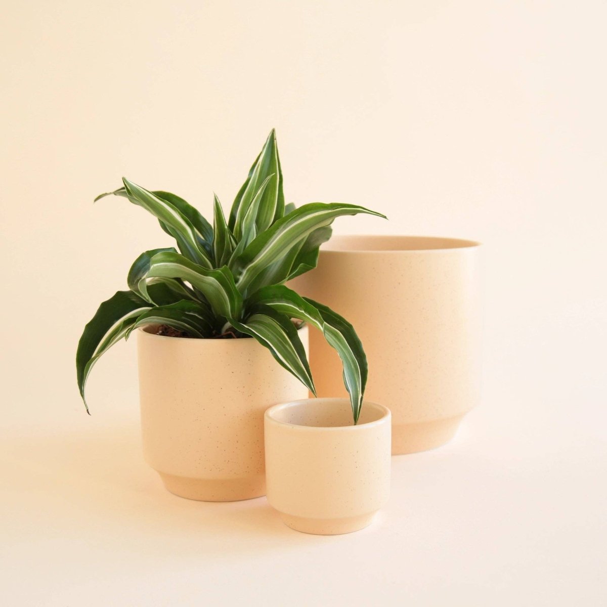 Parker Planter Pot - Vanilla Speckle-Pots & Planters-The Succulent Source