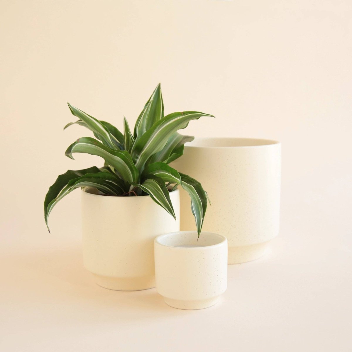 Parker Planter Pot - Vintage White Speckle-Pots & Planters-The Succulent Source