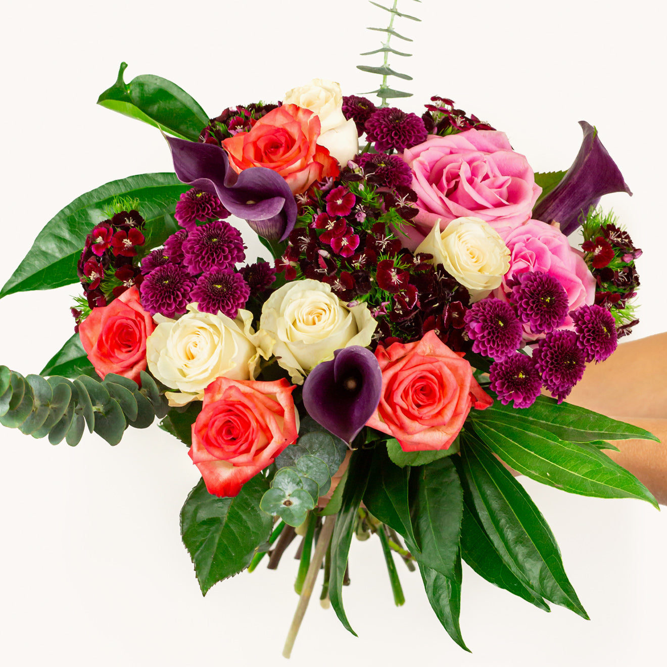 Piano Bar-The Succulent Source