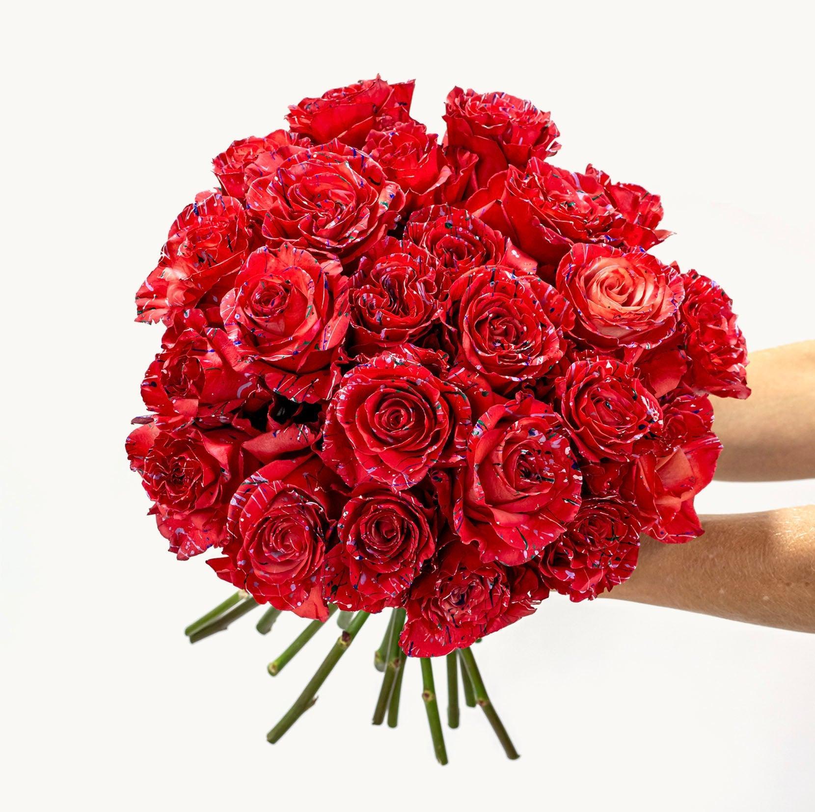 Pink Sprinkle-The Succulent Source