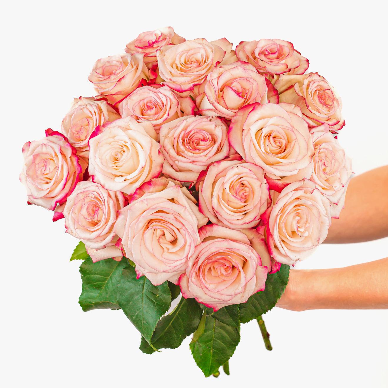 Pretty in Pink Roses-The Succulent Source