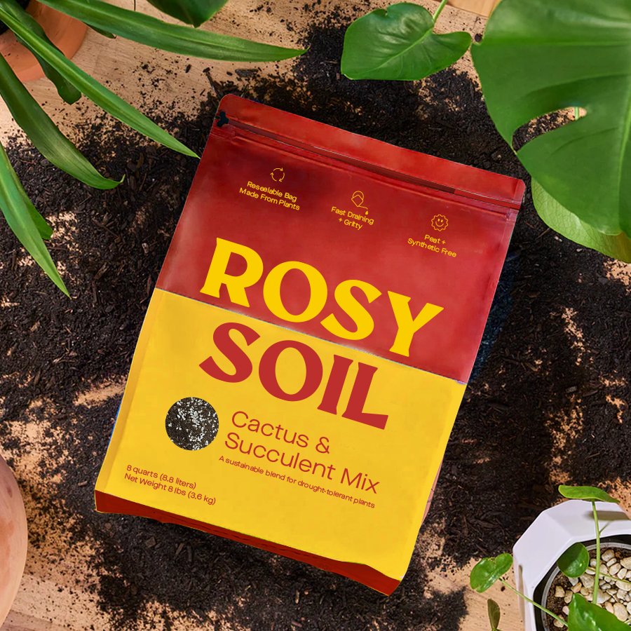 Rosy Soil- Organic Cactus & Succulent Mix 4qt-Soil-The Succulent Source
