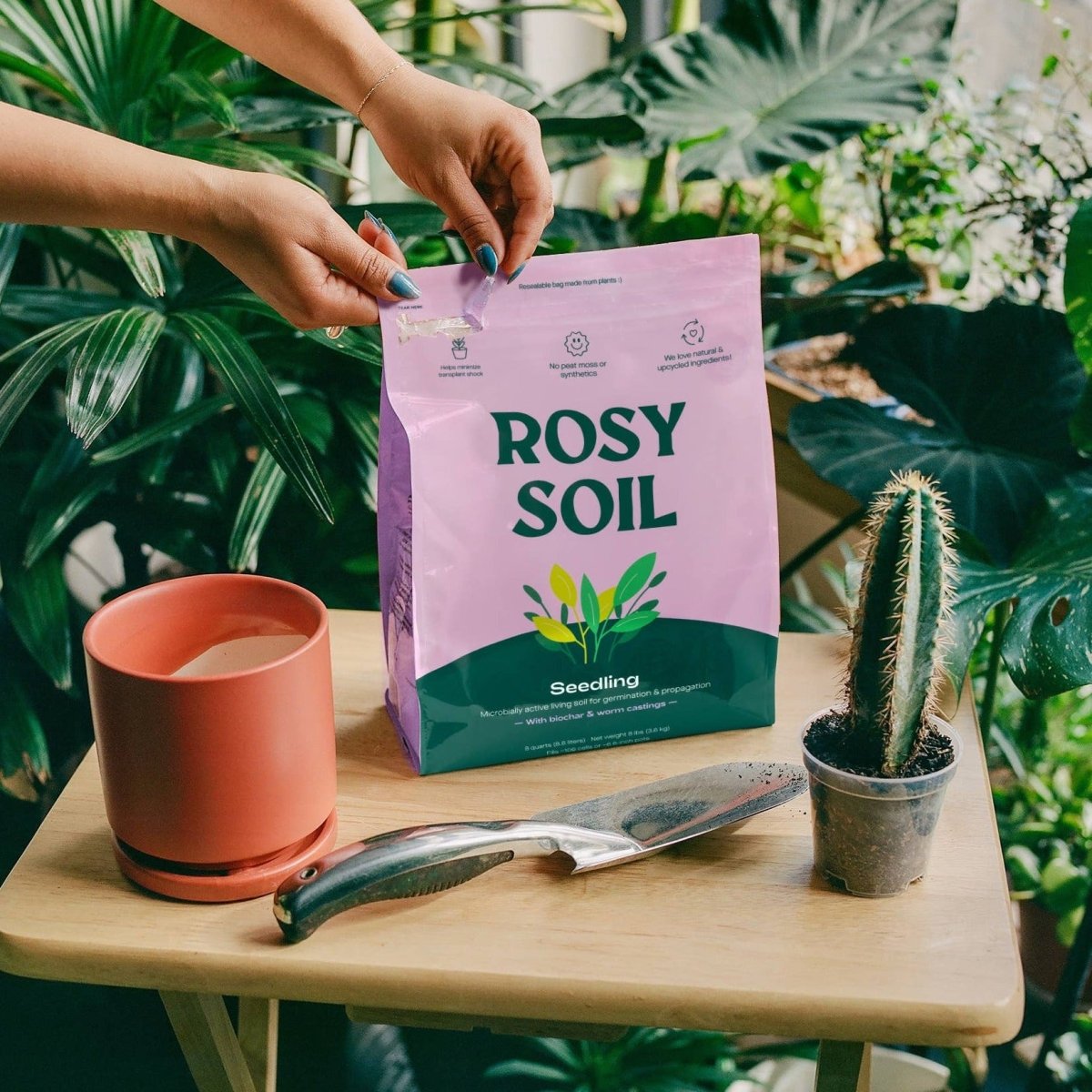 Rosy Soil Organic Seedling & Propagation Mix 8qt.-Soil-The Succulent Source