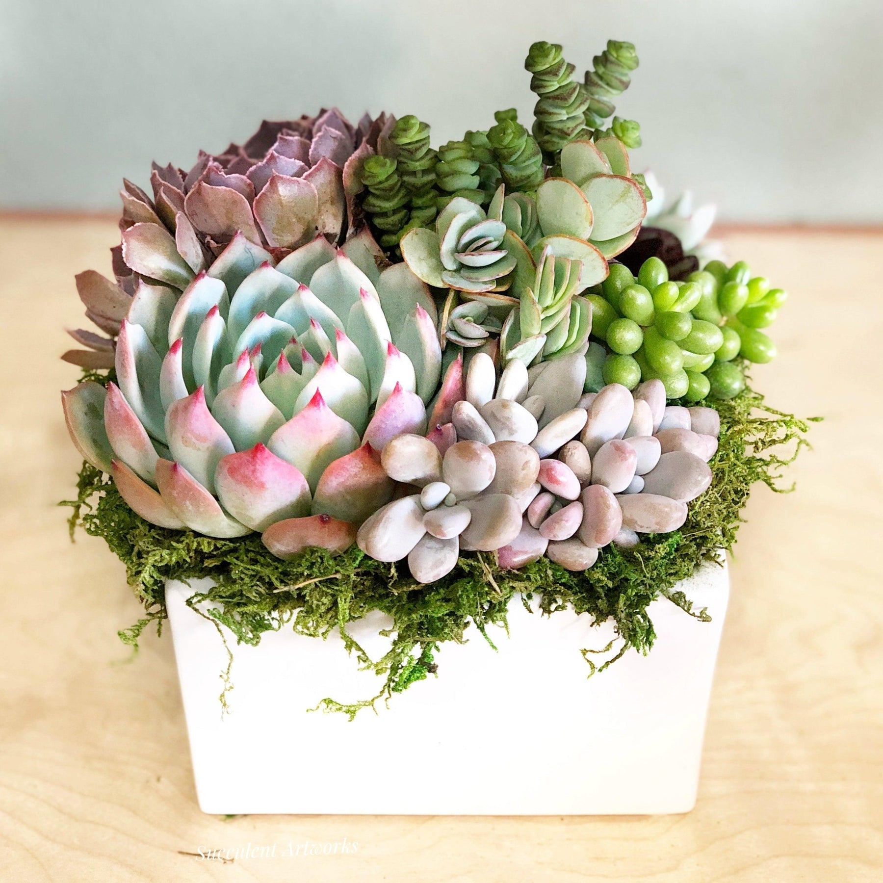 Simply Classic Square Ceramic Planted with Succulents
